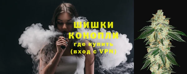 стафф Верхний Тагил