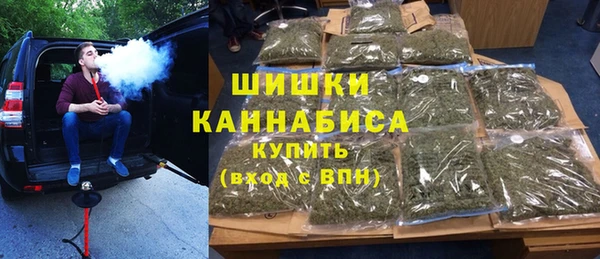 стафф Верхний Тагил