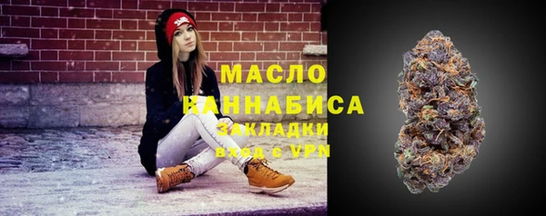 стафф Верхний Тагил