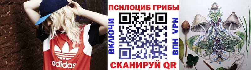 Псилоцибиновые грибы Cubensis Королёв