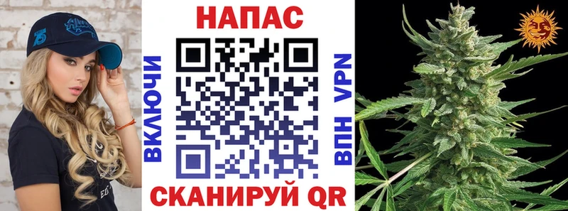 Бошки Шишки Amnesia  Королёв 